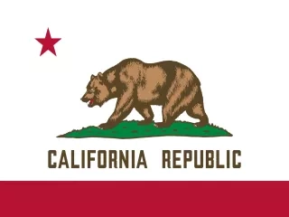 California State official flag