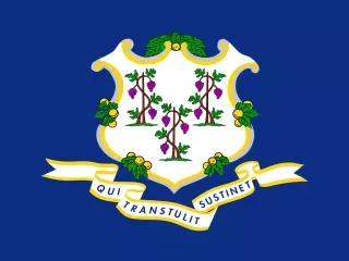 Connecticut State official flag