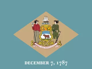 Delaware State official flag