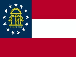 Georgia State official flag