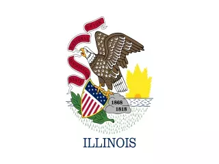 Illinois State official flag