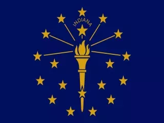 Indiana State official flag