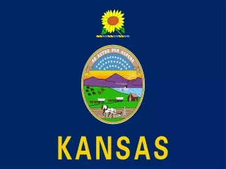 Kansas State official flag