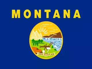 Montana State official flag