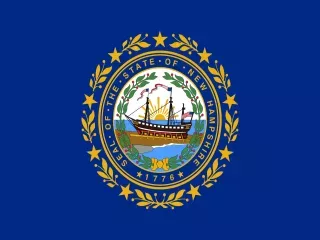 New Hampshire State official flag