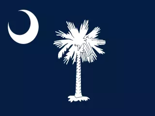 South Carolina State official flag
