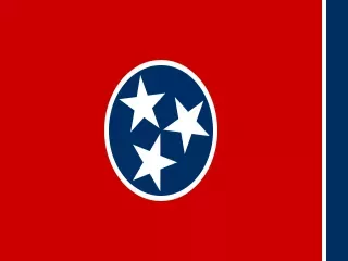 Tennessee State official flag