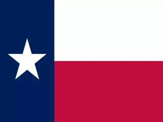 Texas State official flag