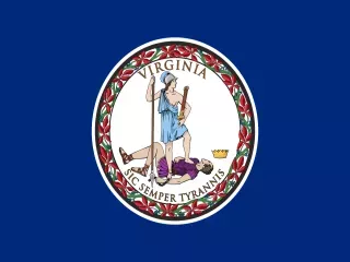 Virginia State official flag