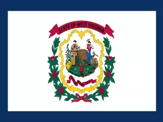 West Virginia State official flag