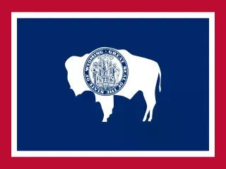 Wyoming State official flag